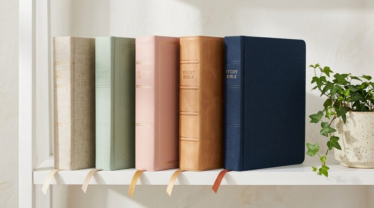 best study bibles for new believers